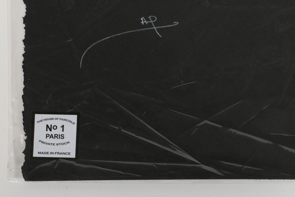 Fairchild Paris Artist Proof Mixed Media Print Pearl Jam Prague