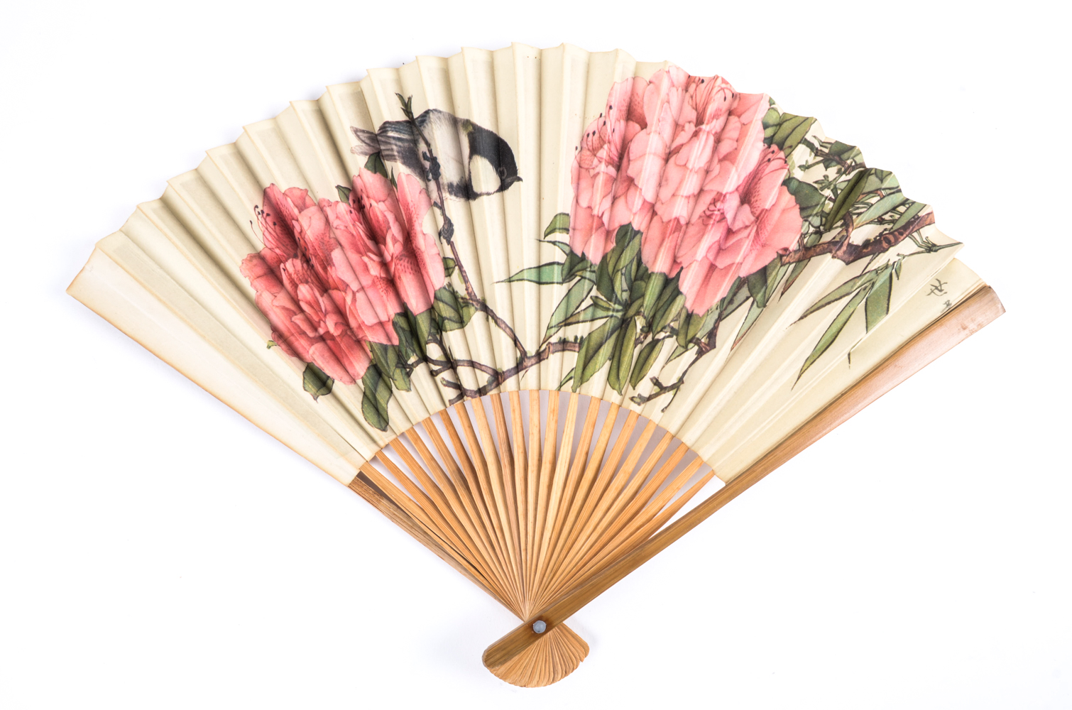 Collection of Paper Fans