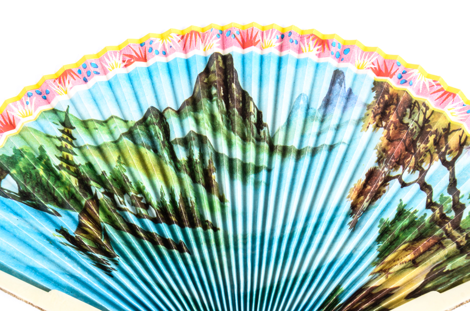 Collection of Paper Fans