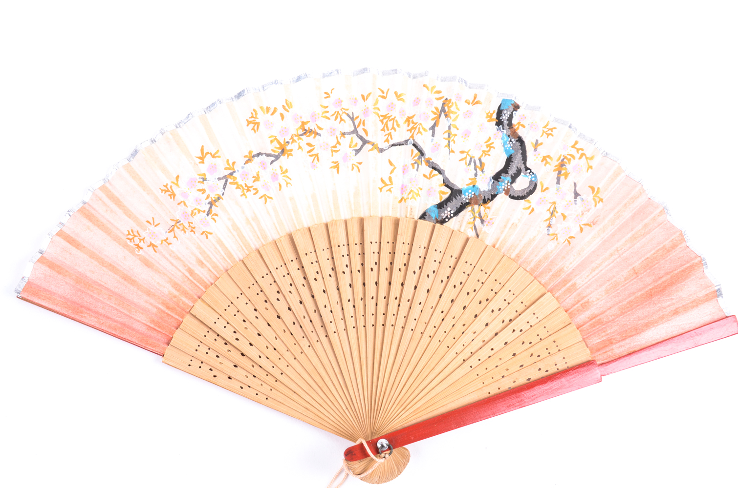 Collection of Paper Fans