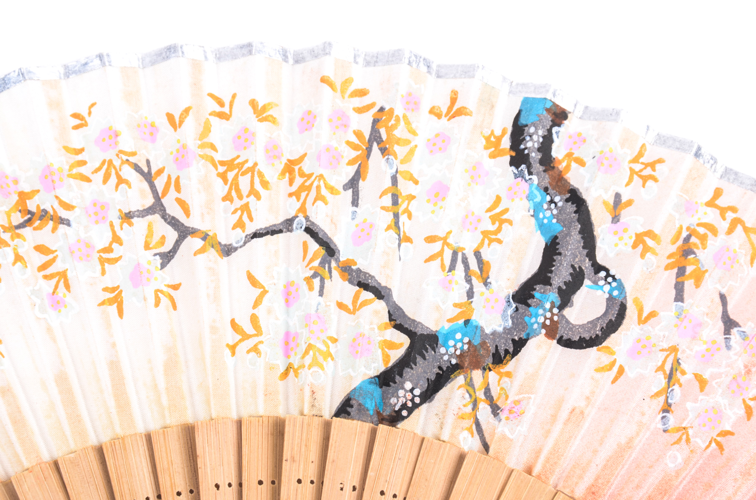 Collection of Paper Fans