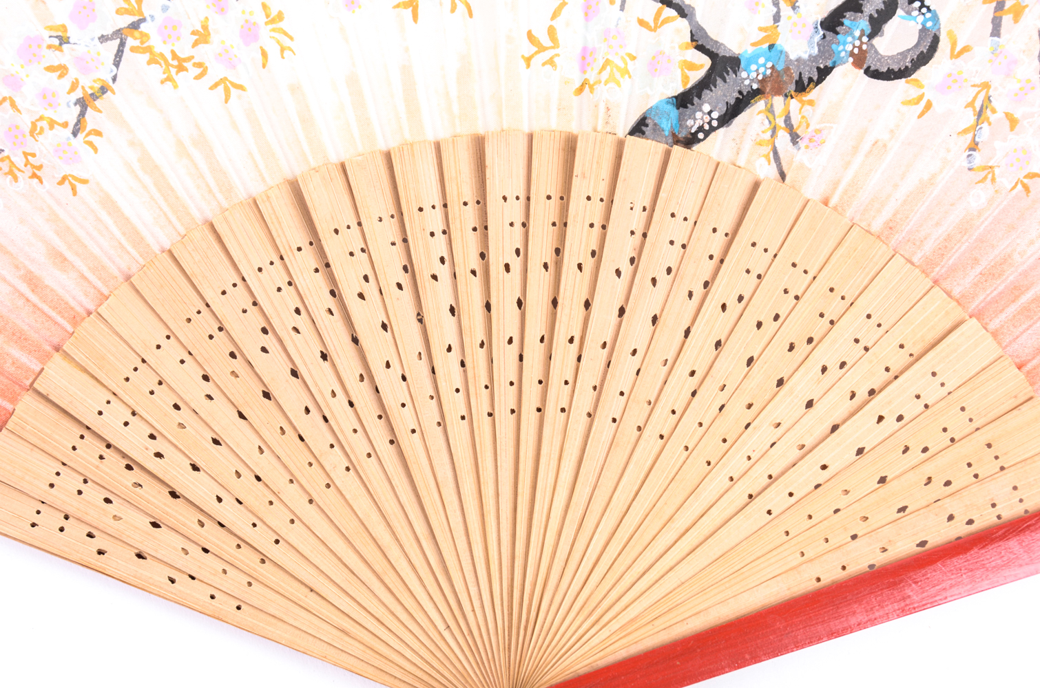 Collection of Paper Fans