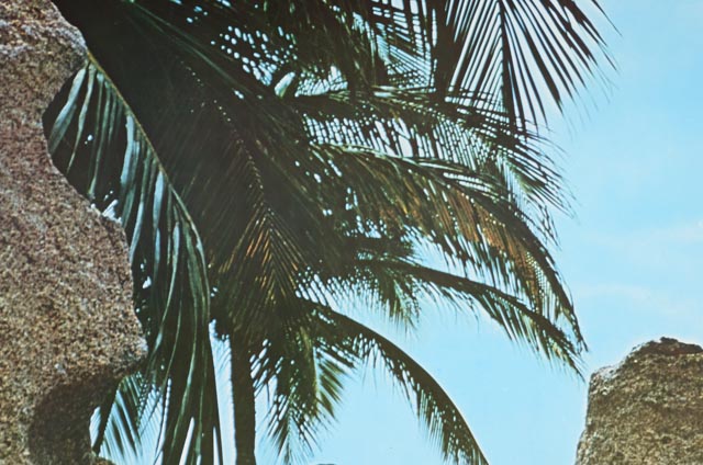 Eight Original 1970s and 80s Aruba Tourism Posters