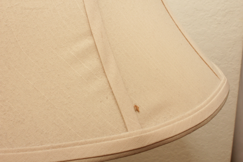 Modern Floor Lamp with Antique Finish