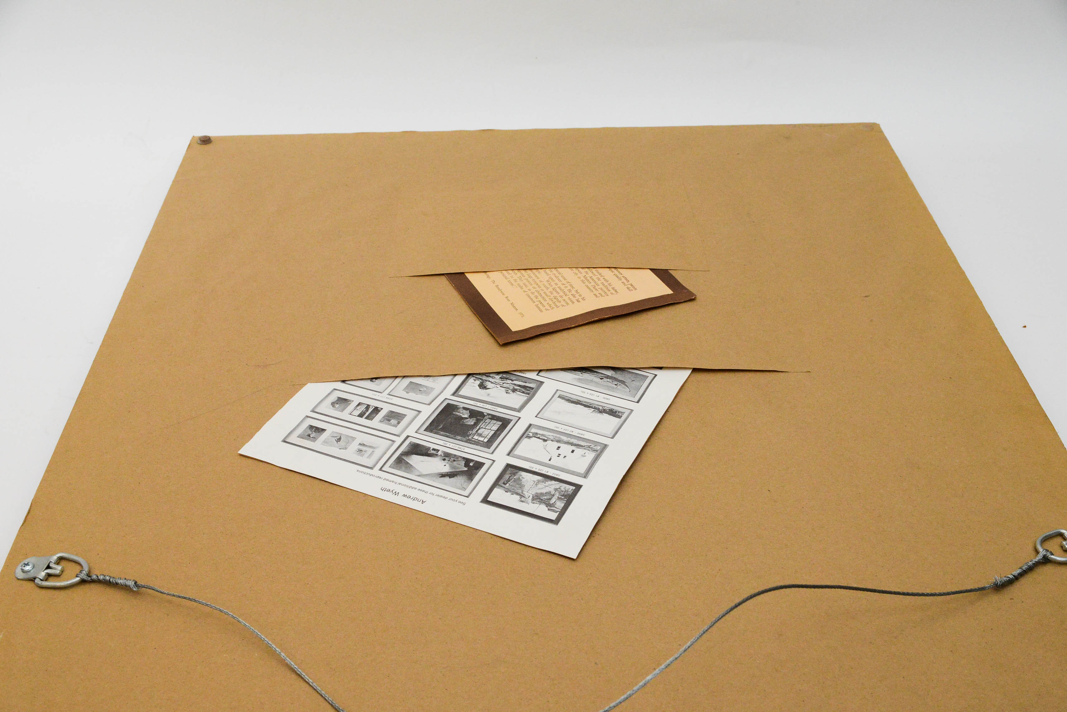 Framed Print After Andrew Wyeth's "Geraniums"