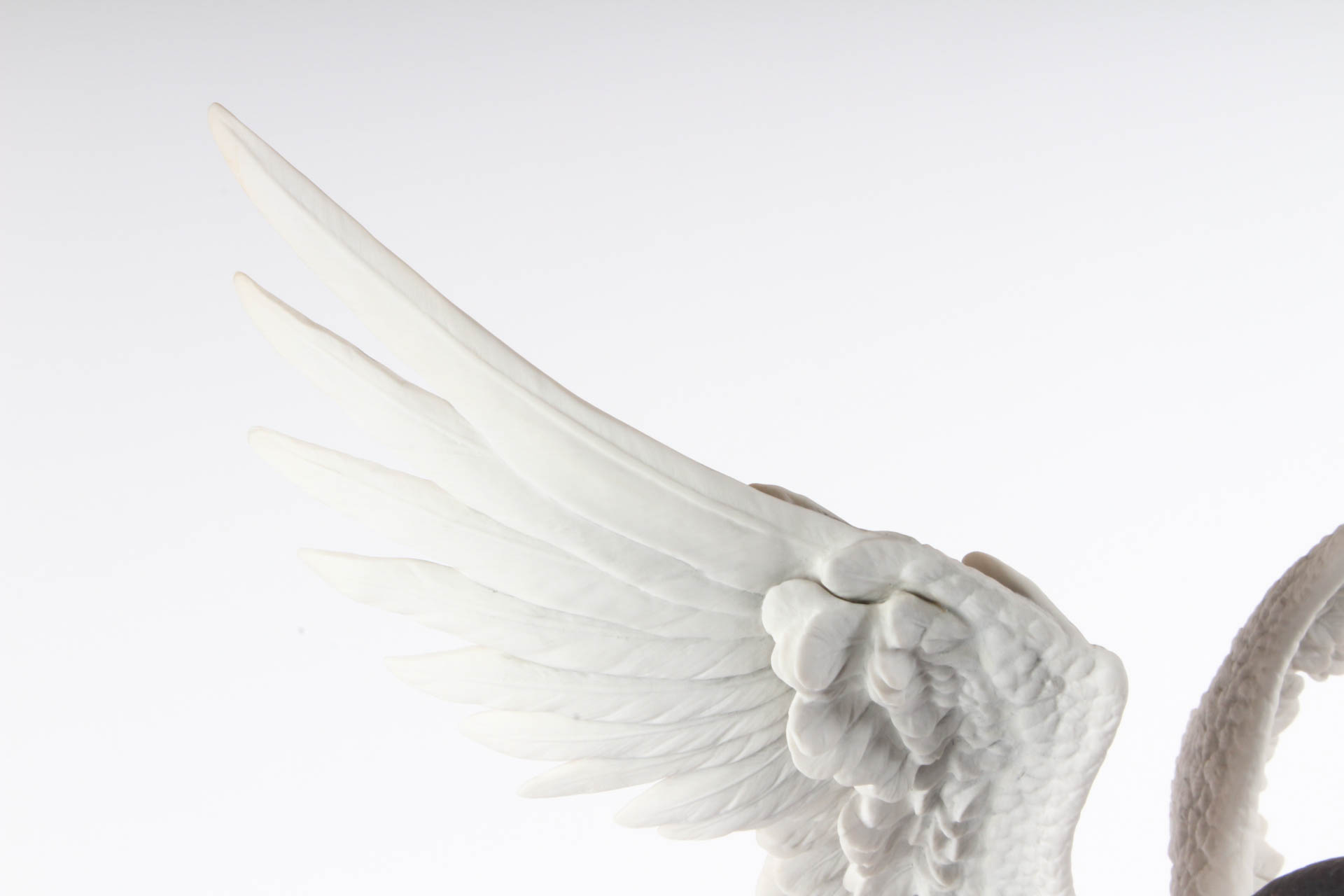 Boehm Limited Edition Bisque Porcelain Bird "Forster's Tern Cresting"