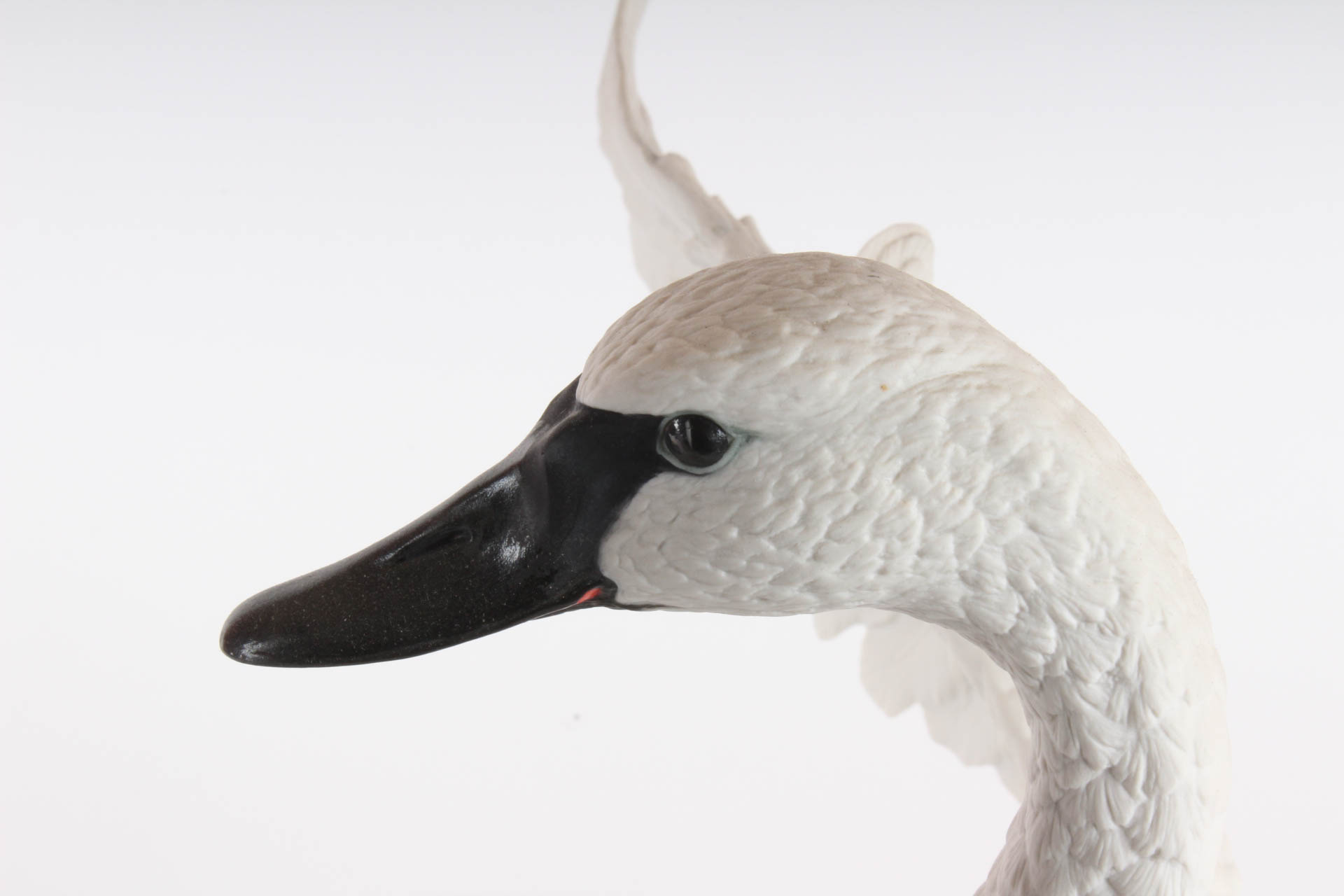 Boehm Limited Edition Figurine "Trumpeter Swan"