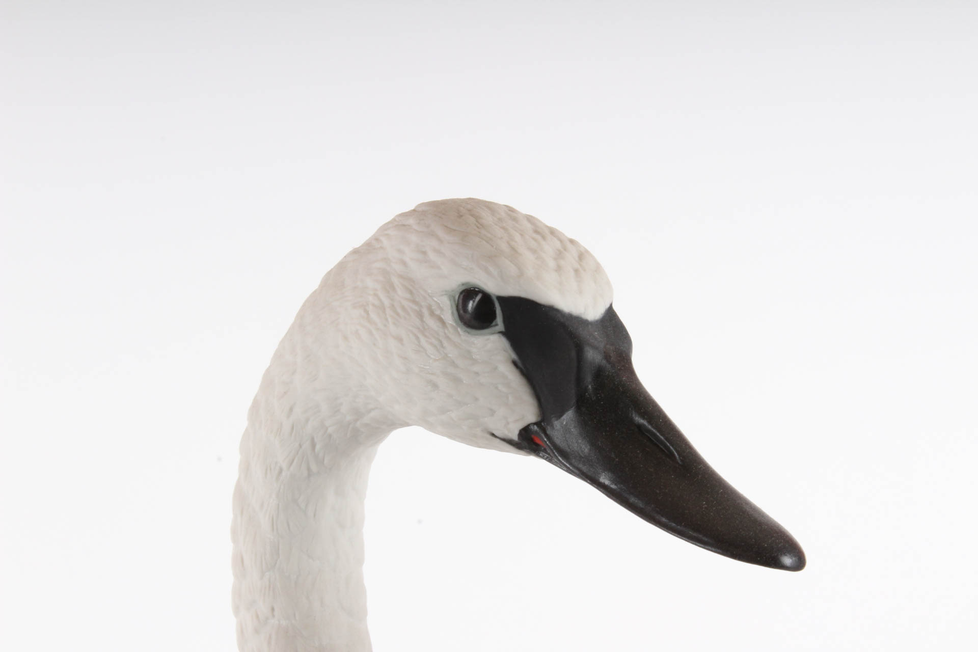 Boehm Limited Edition Figurine "Trumpeter Swan"