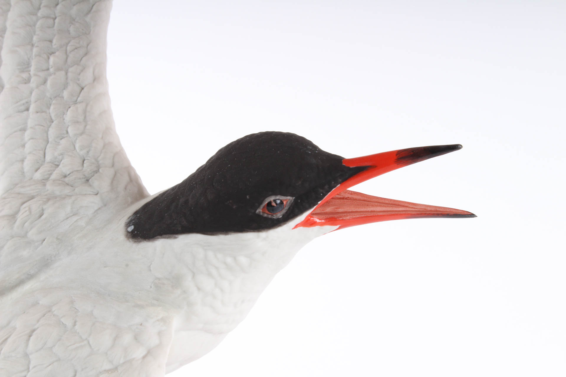 Boehm Limited Edition Porcelain Figurine "Forster's Tern On the Wing"