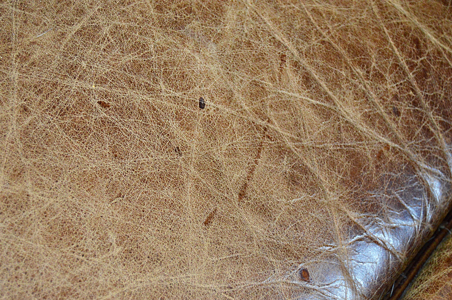 Contemporary Art Deco Style Brown Leather Sofa