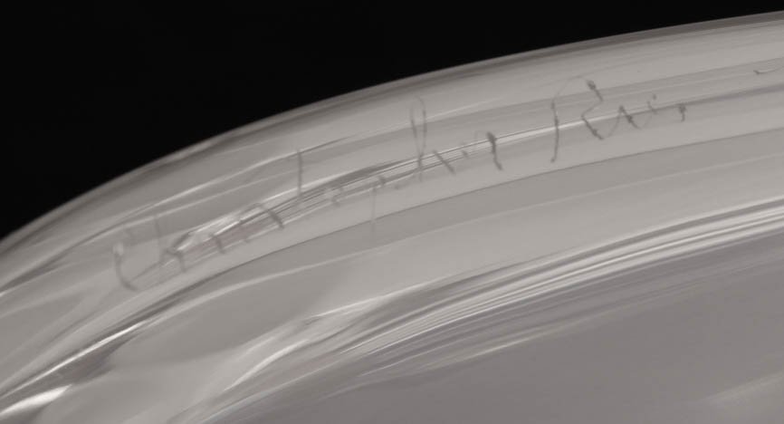 Christopher Reis Abstract Glass Sculpture "Embrace"