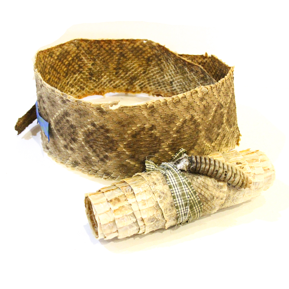 Pair of Snake Skins