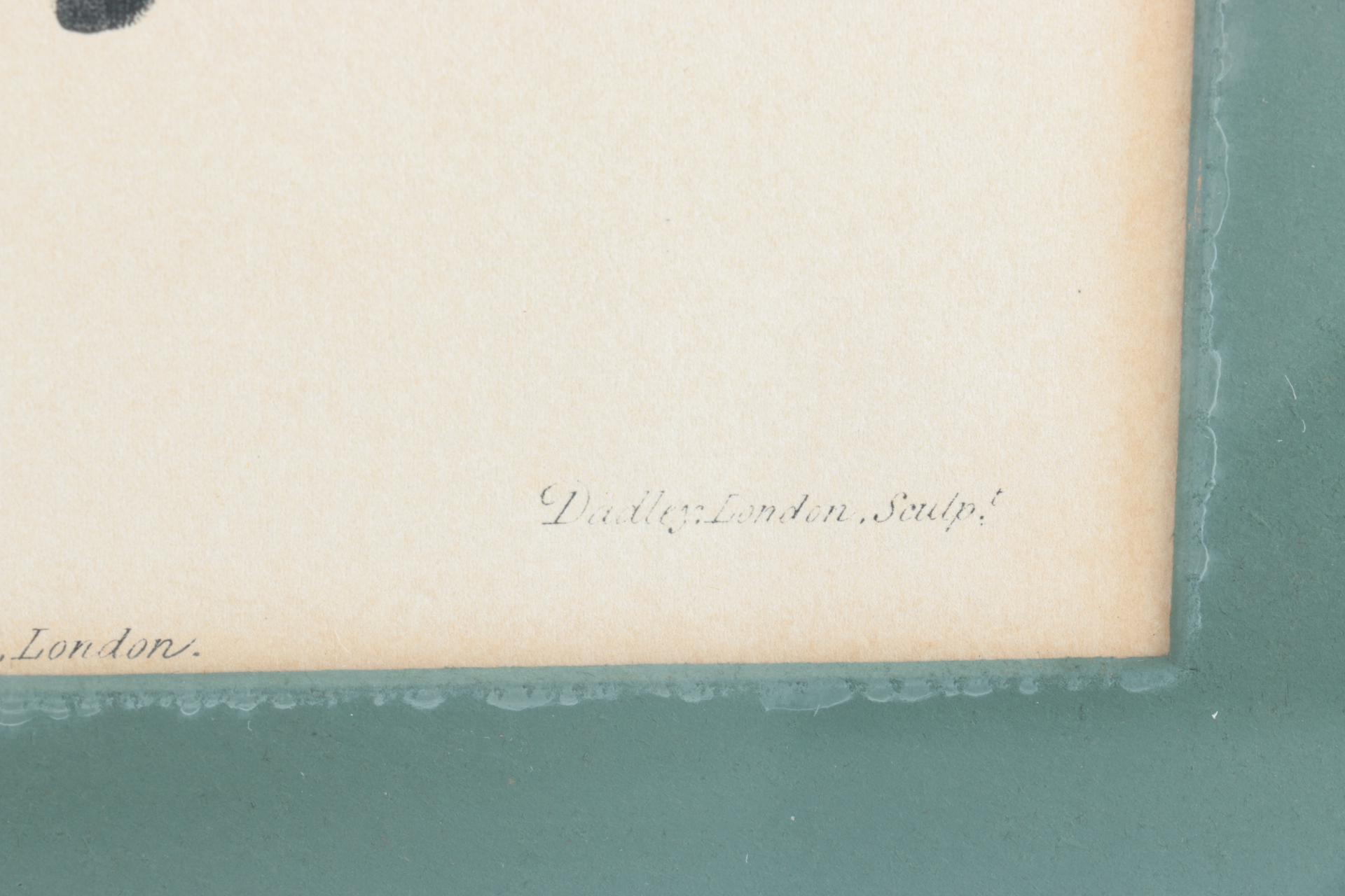 1799 Hand-Colored Etchings After Pu-Quà