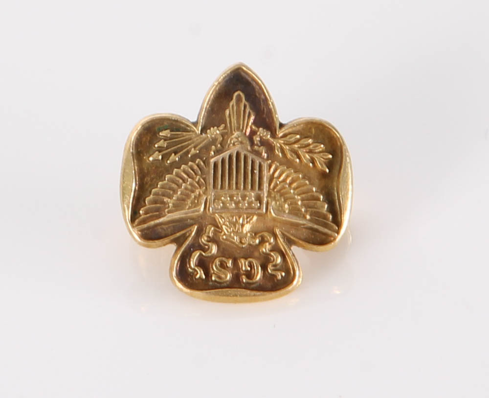 10K Gold Pin