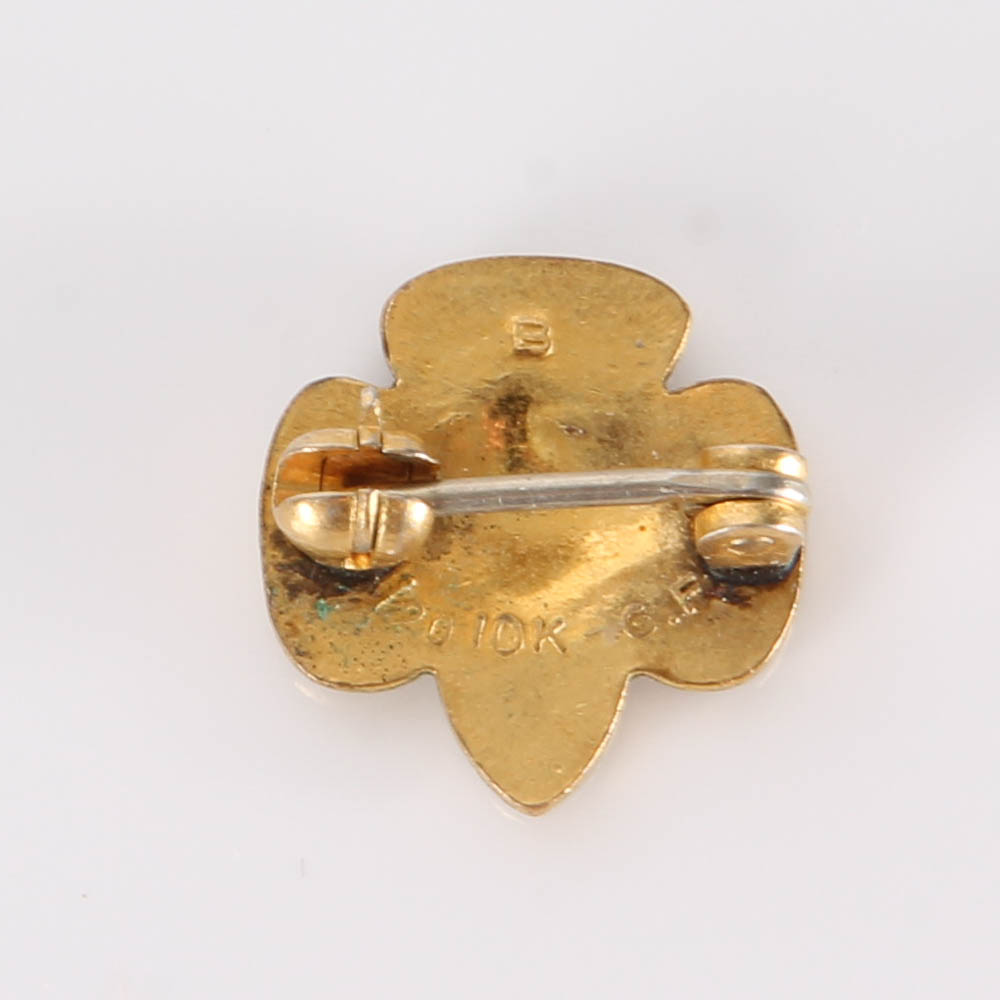 10K Gold Pin