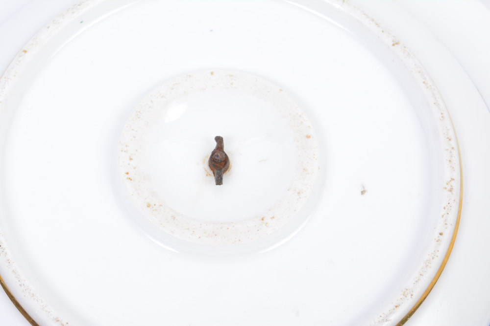 Antique Russian St. Petersburg China