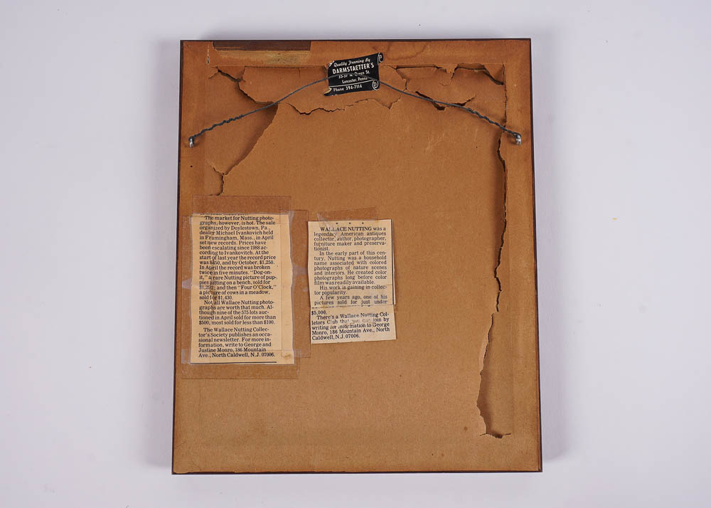 Wallace Nutting Hand Tinted Photograph