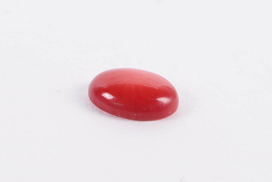 Coral Cabochon