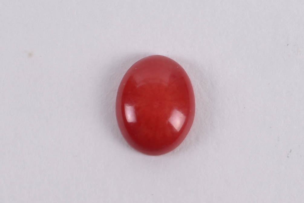 Coral Cabochon