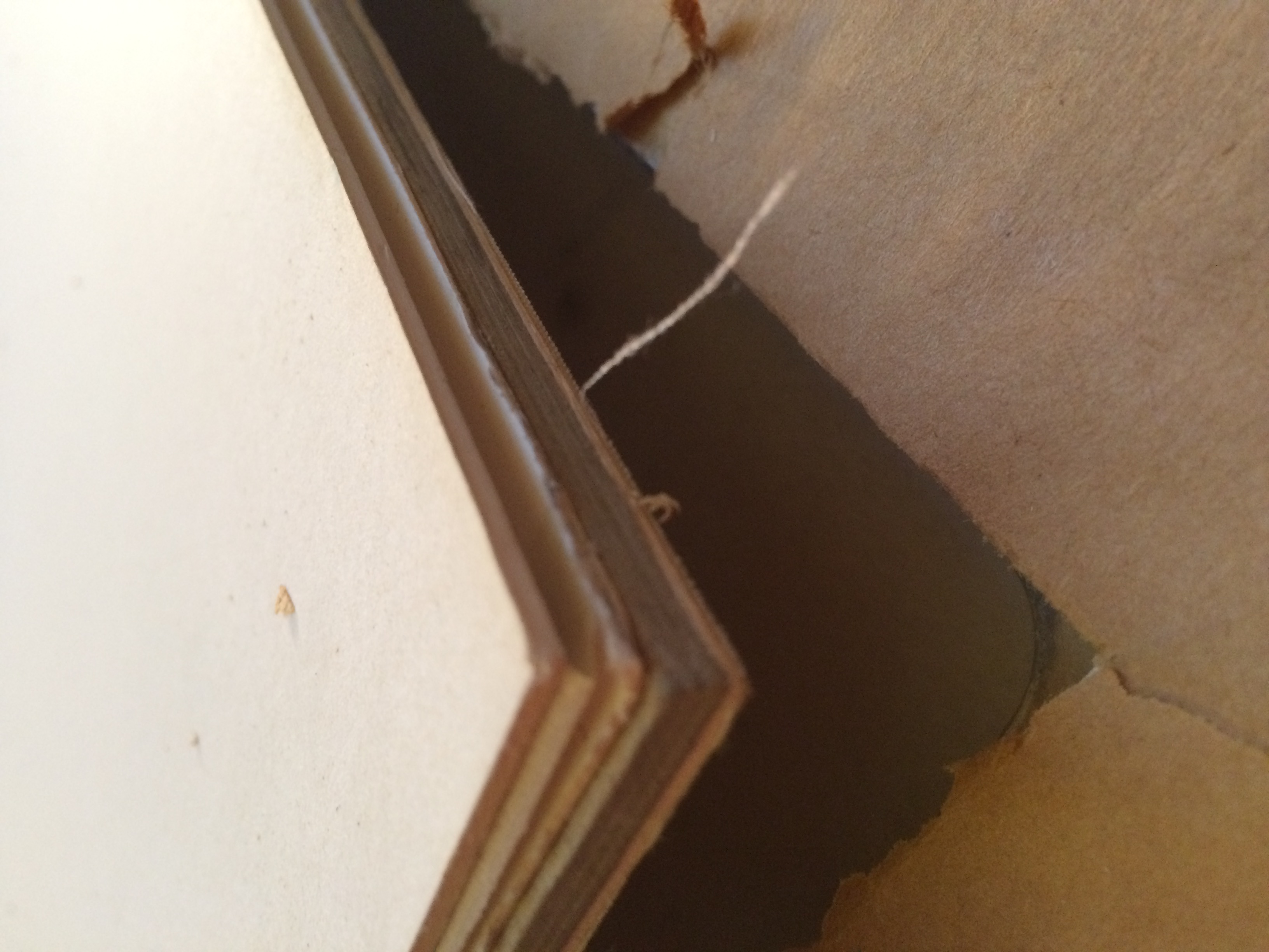 Alphonse Mucha Lithograph Poster "Monaco - Monte Carlo"