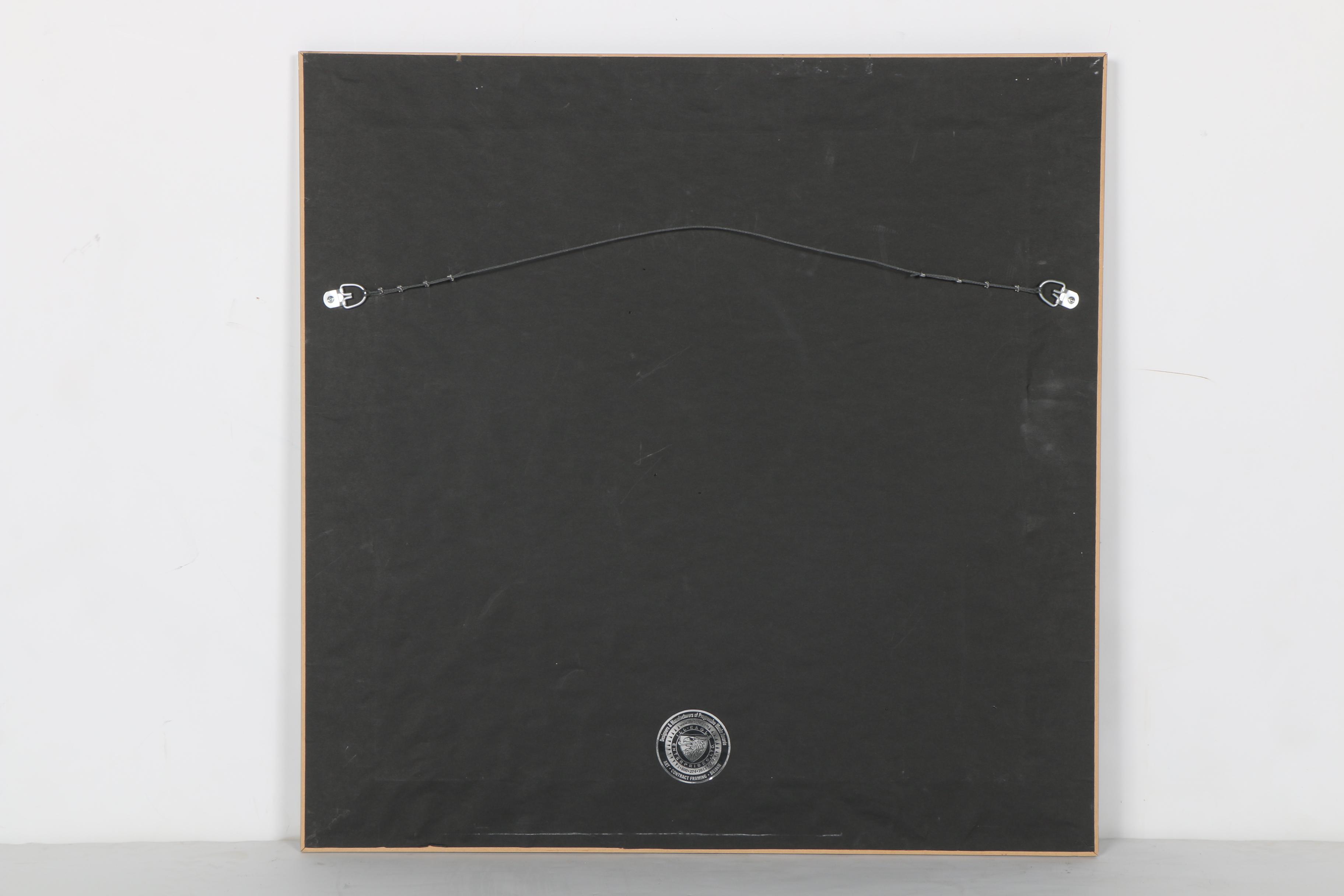 Keith Urban Platinum Record