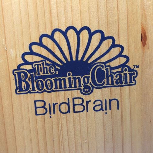 Hand-Painted Adirondack Chairs