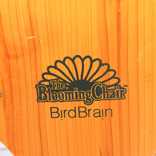 Hand-Painted Adirondack Chairs