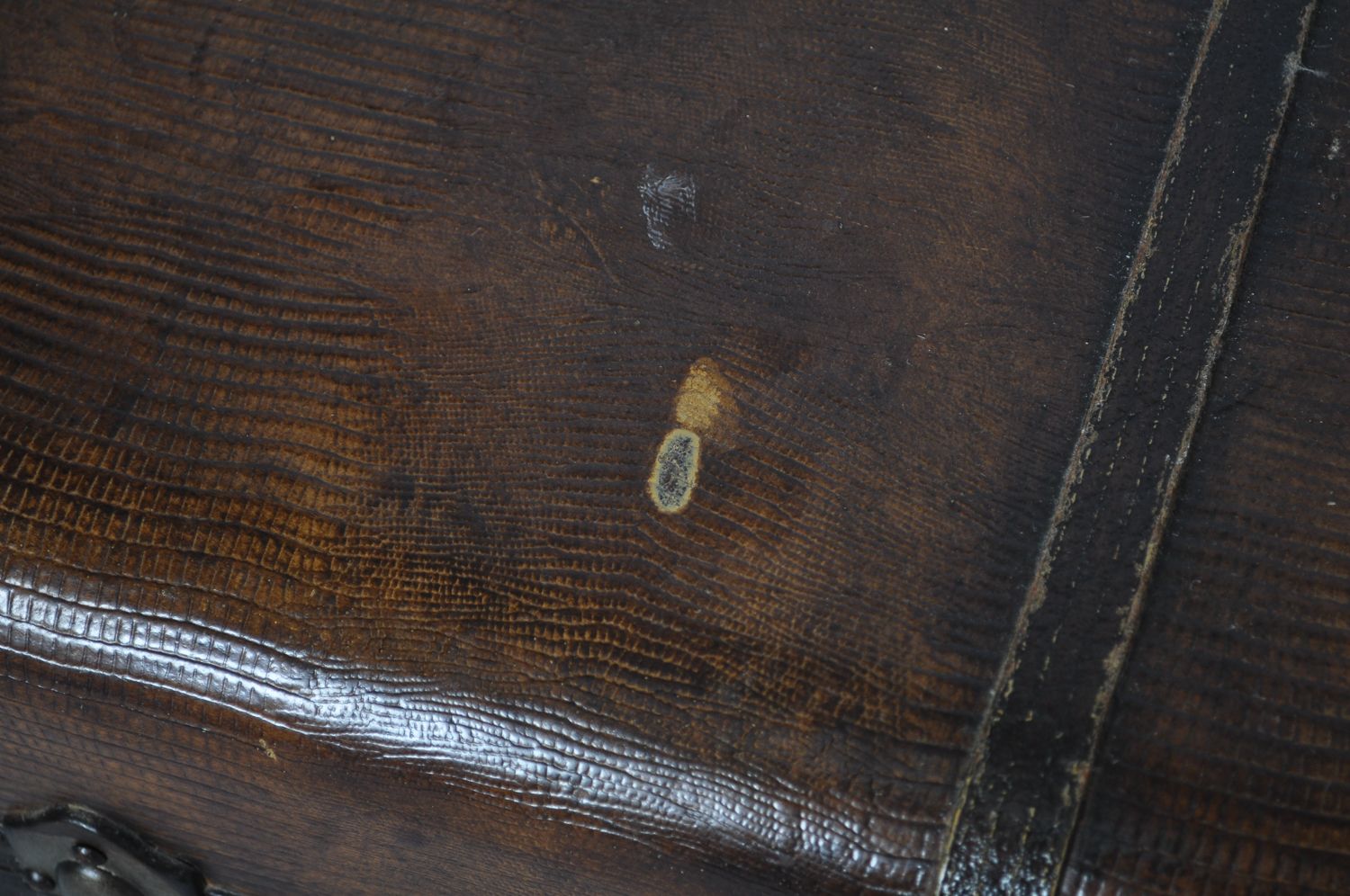 Contemporary Trunk-Form Coffee Table