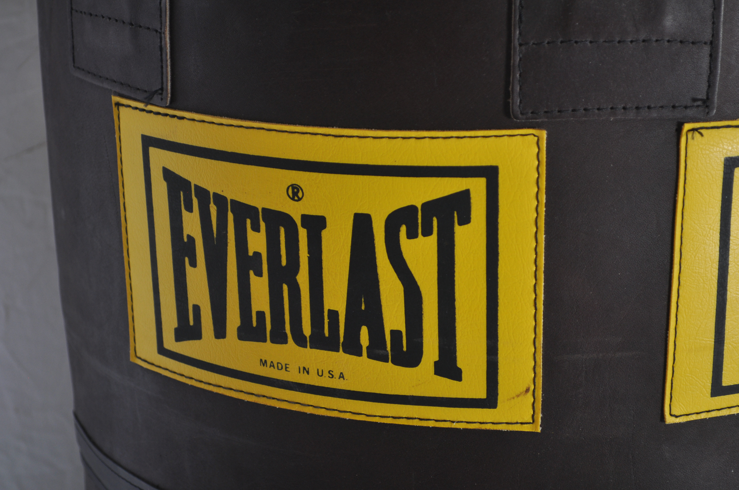 Everlast Heavy Punching Bag