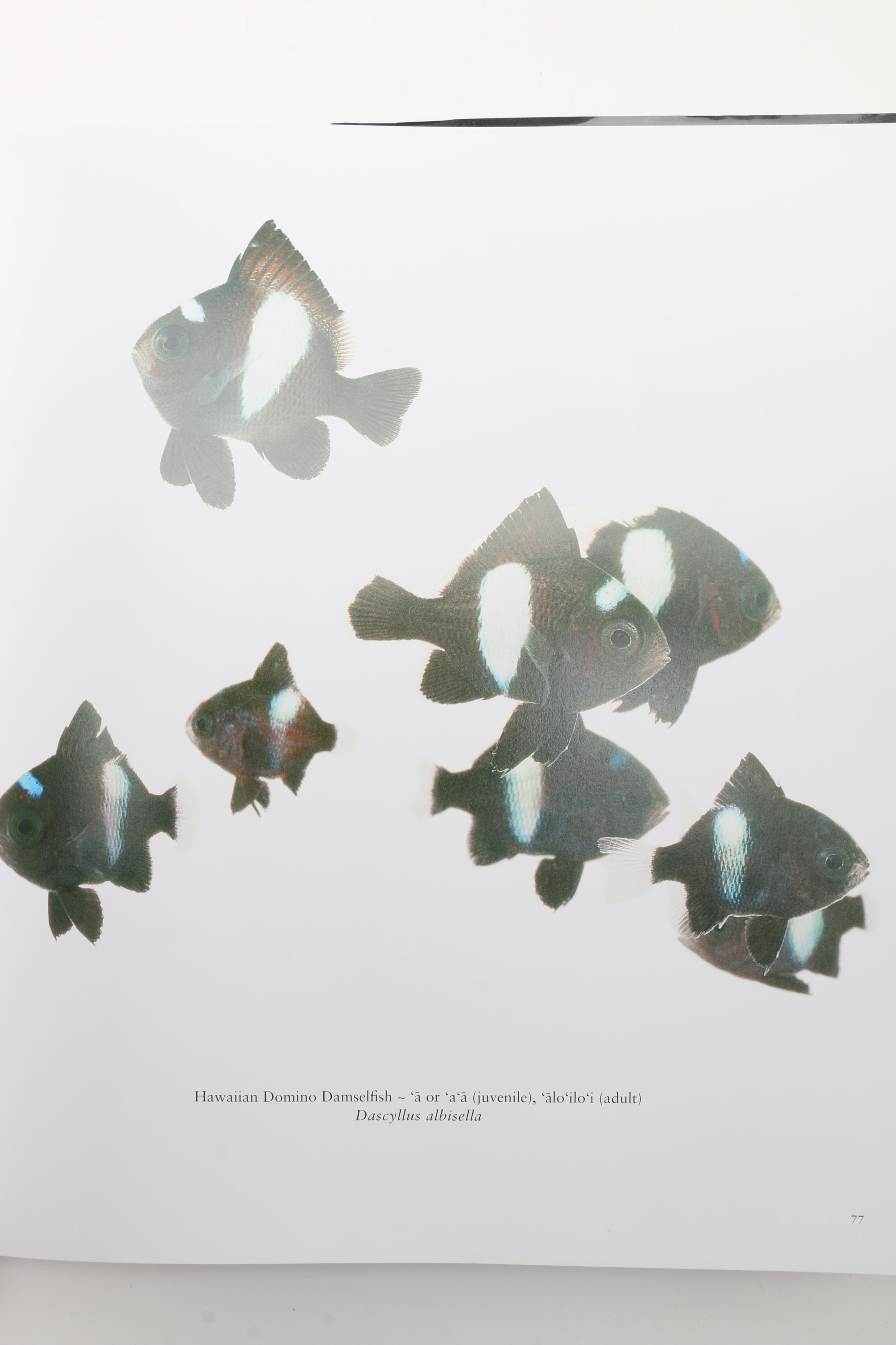 International Travel Coffee Table Books