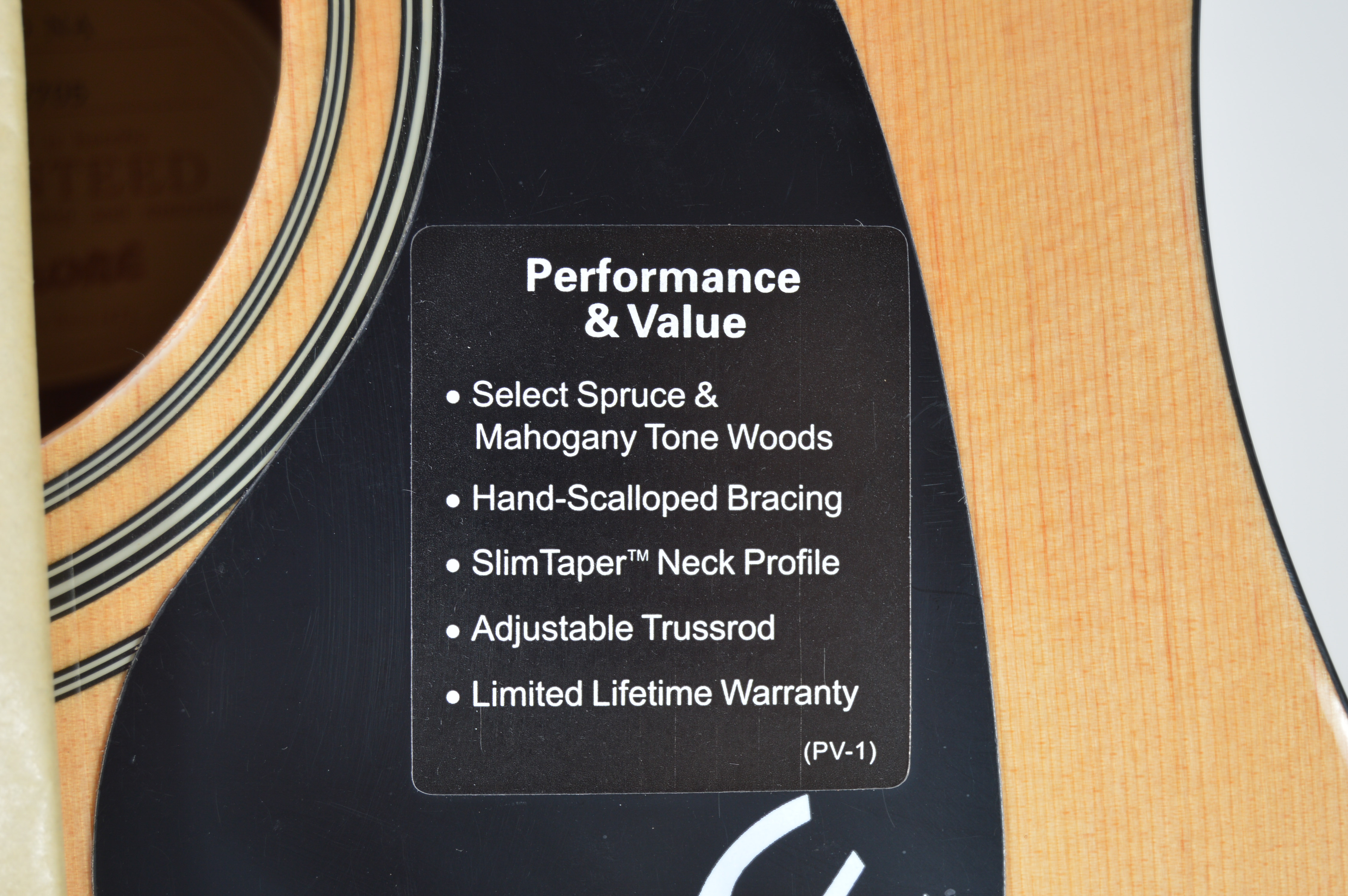 Epiphone DR-100 Acoustic Guitar