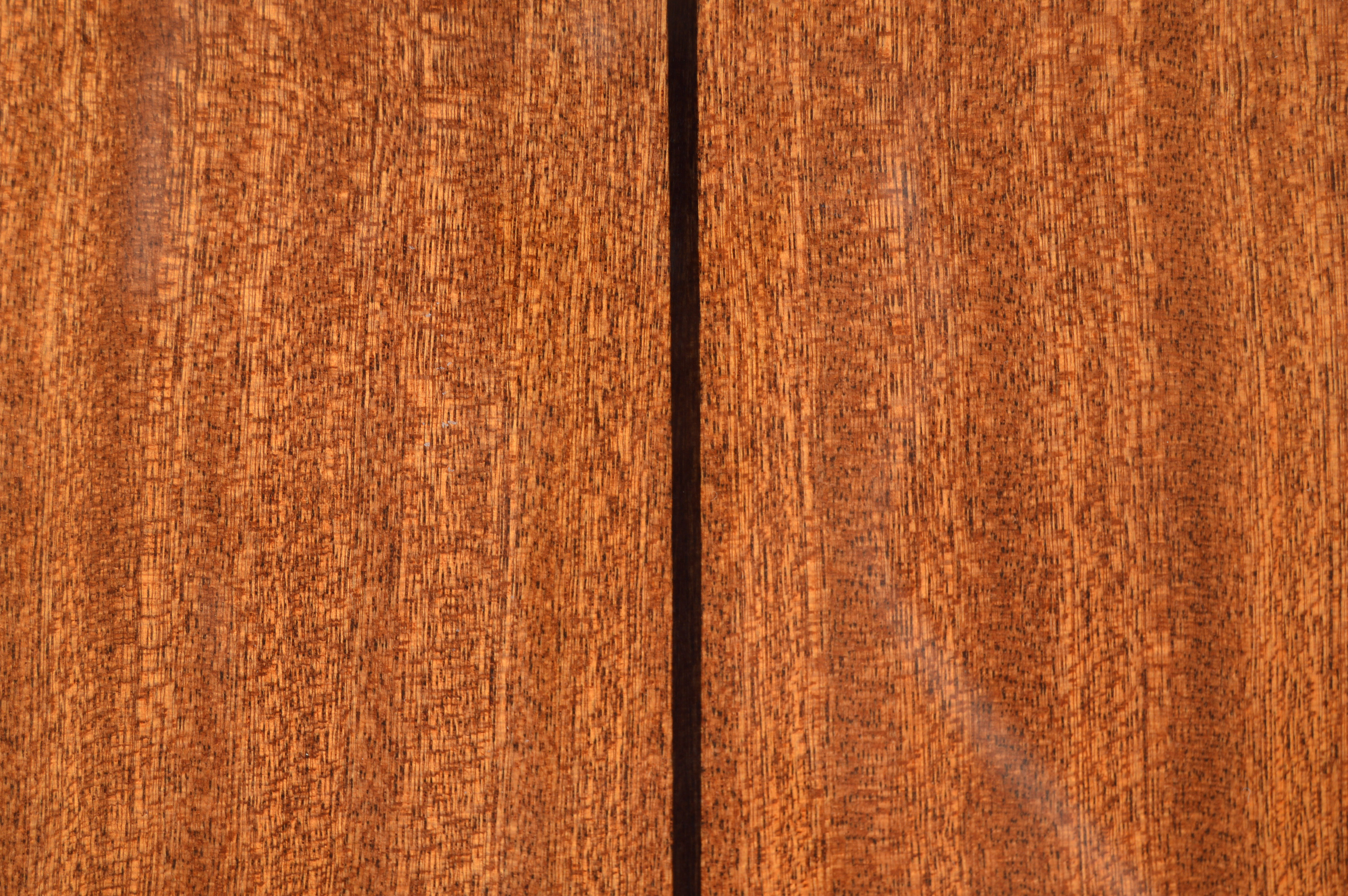 Epiphone DR-100 Acoustic Guitar