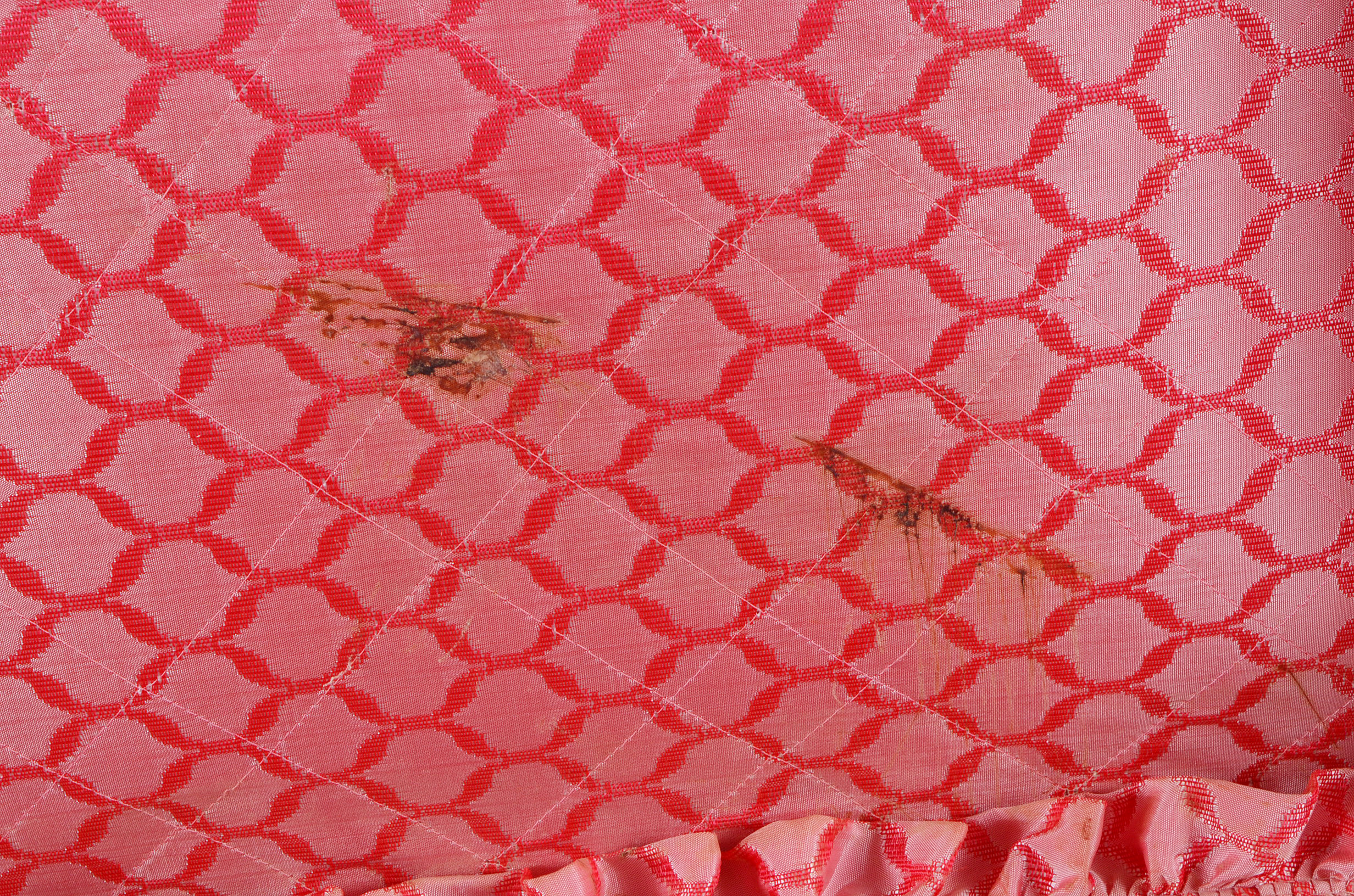 Set of Vintage "Amelia Earhart" Luggage