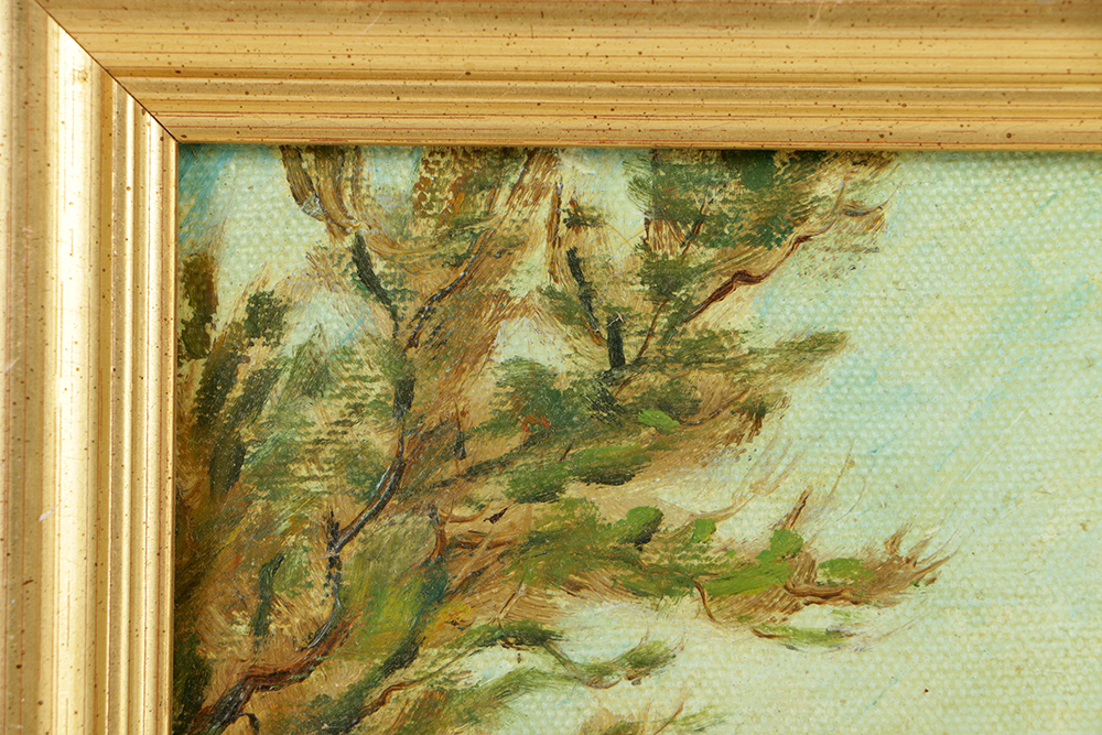 Myke Morton Oil Painting on Canvas "Durango Mexico Alpa Pass"