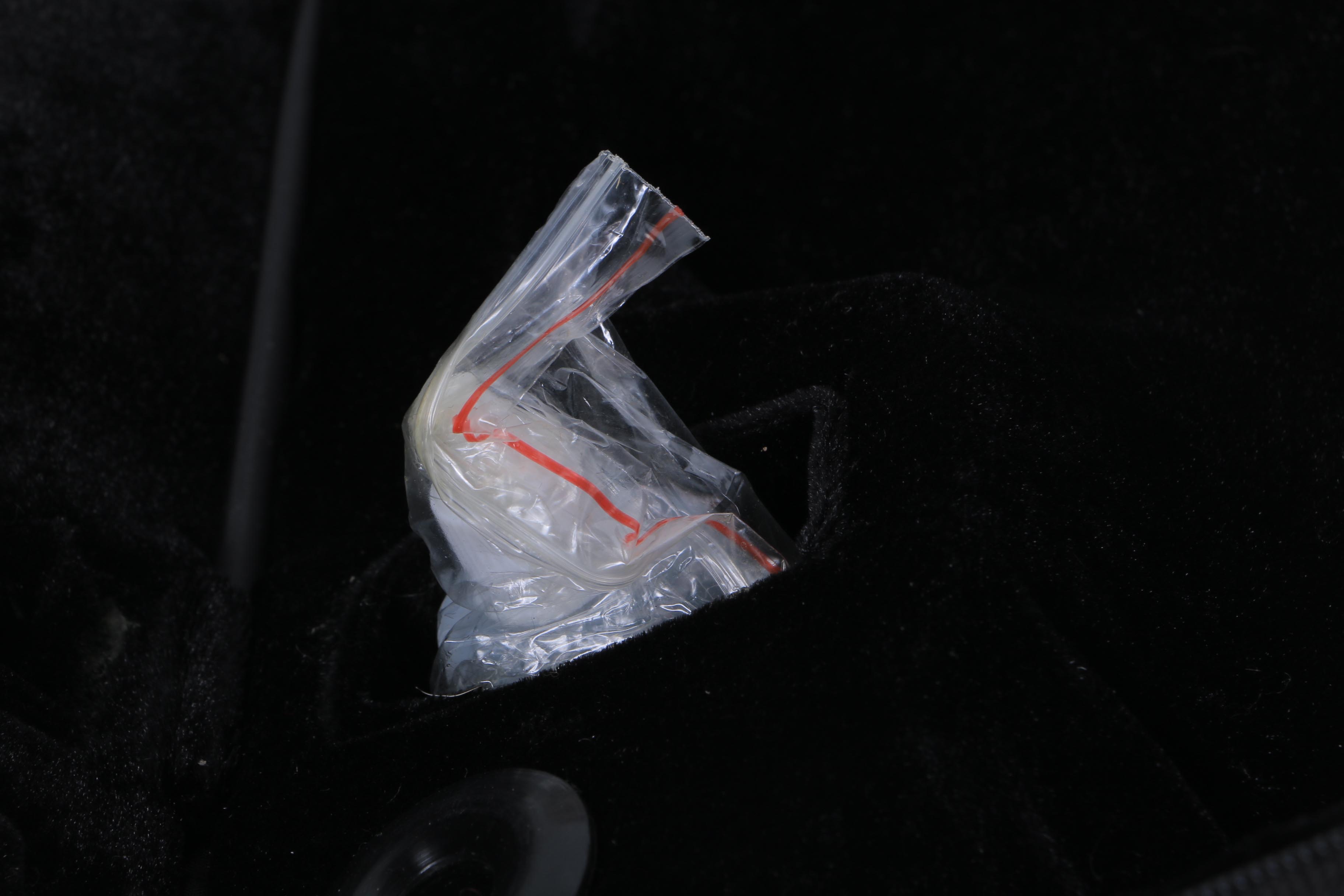 Merano Trumpet and Case