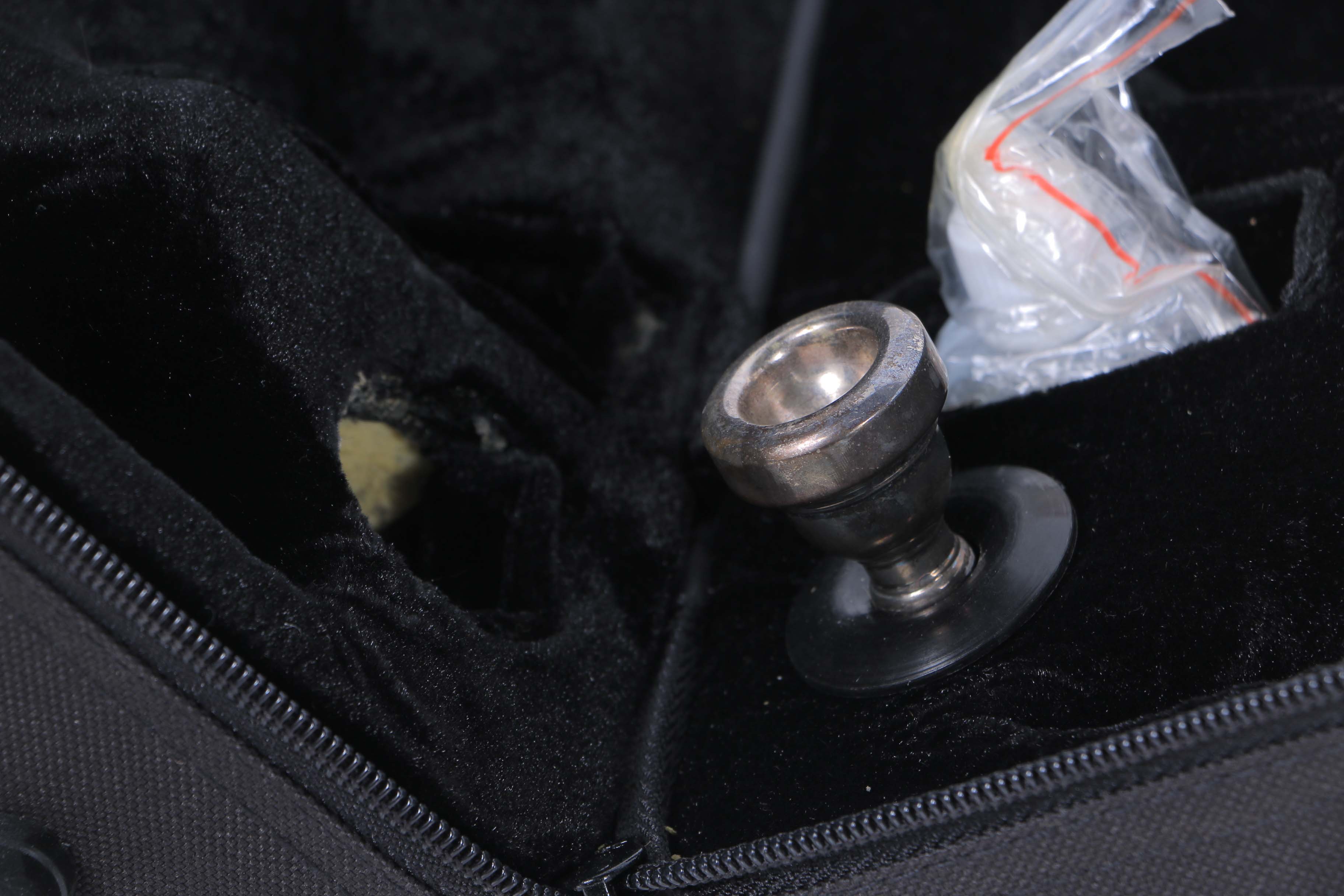 Merano Trumpet and Case