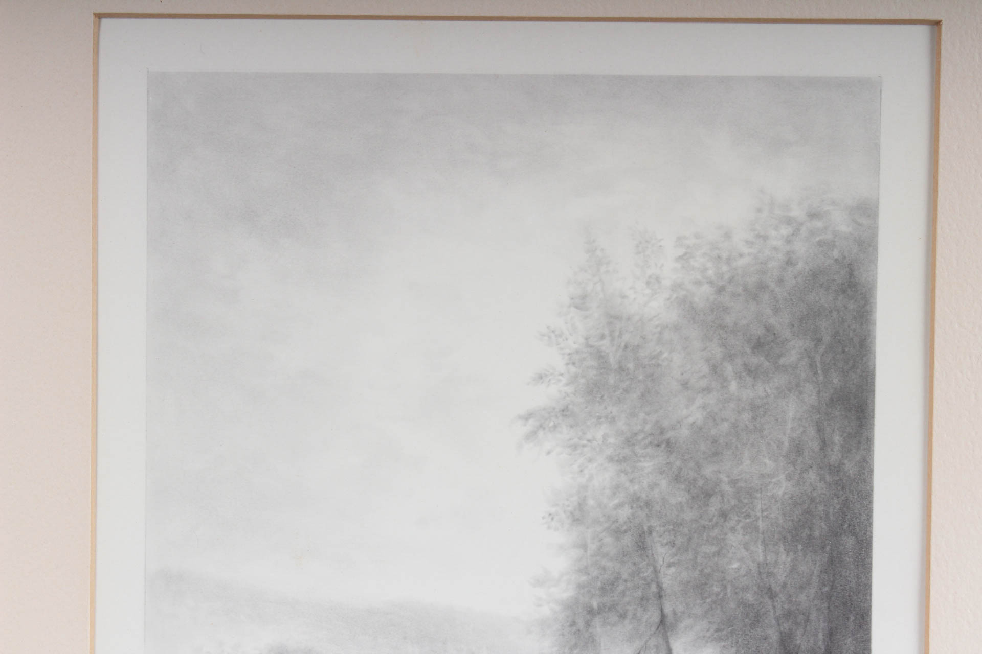 Thomas Tony Pencil Drawing "Summer Splendor"