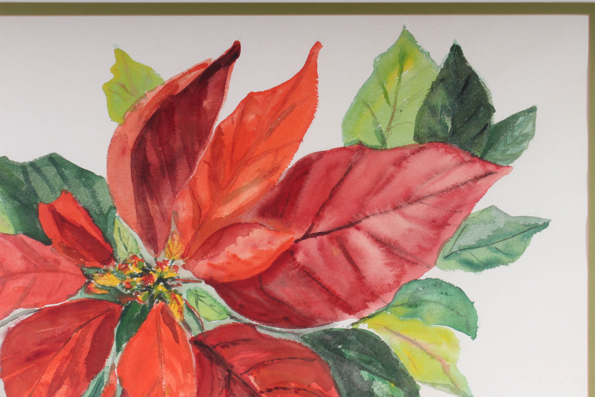 Thelma Walter Poinsettia Watercolor