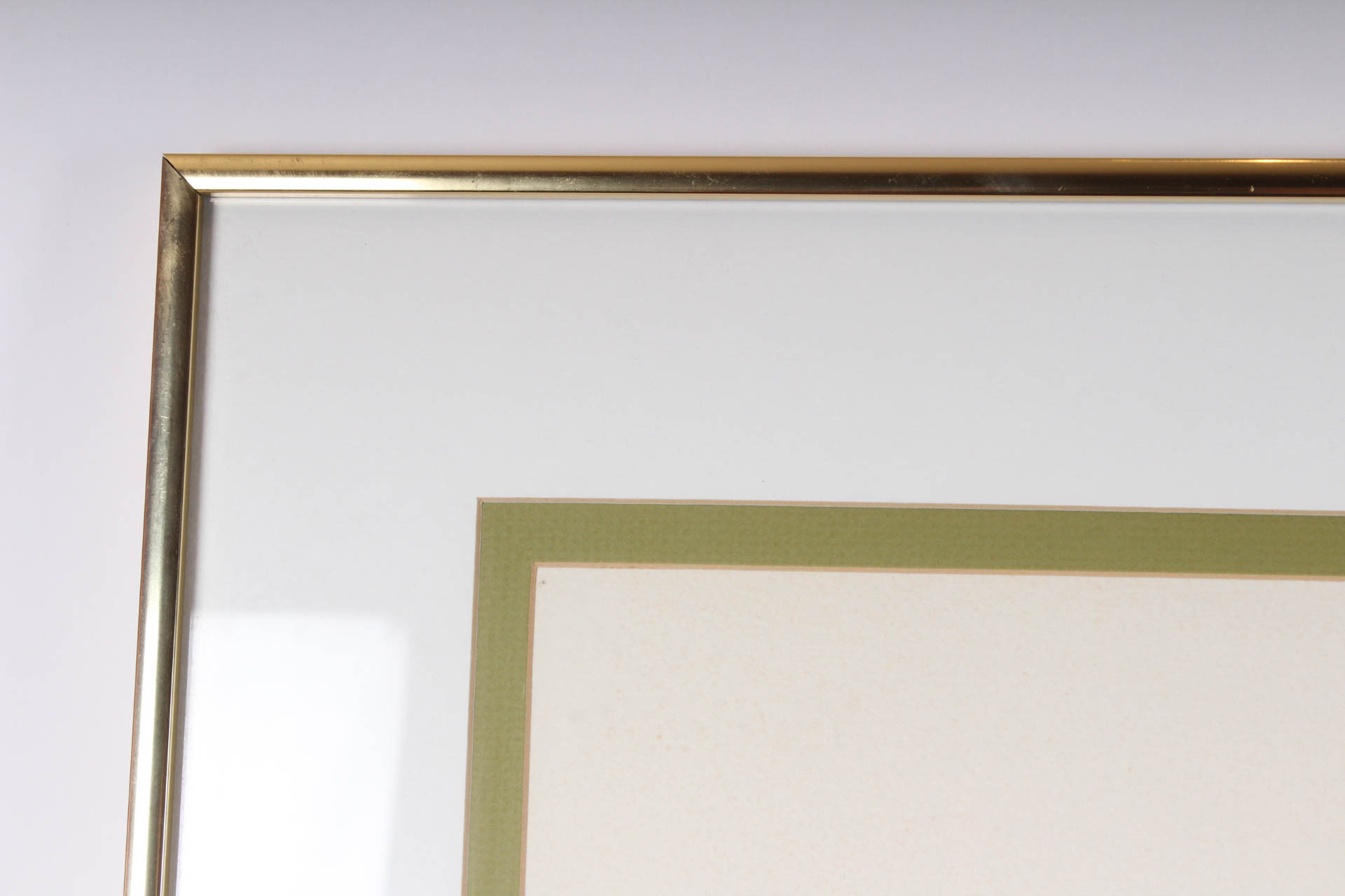 Thelma Walter Poinsettia Watercolor