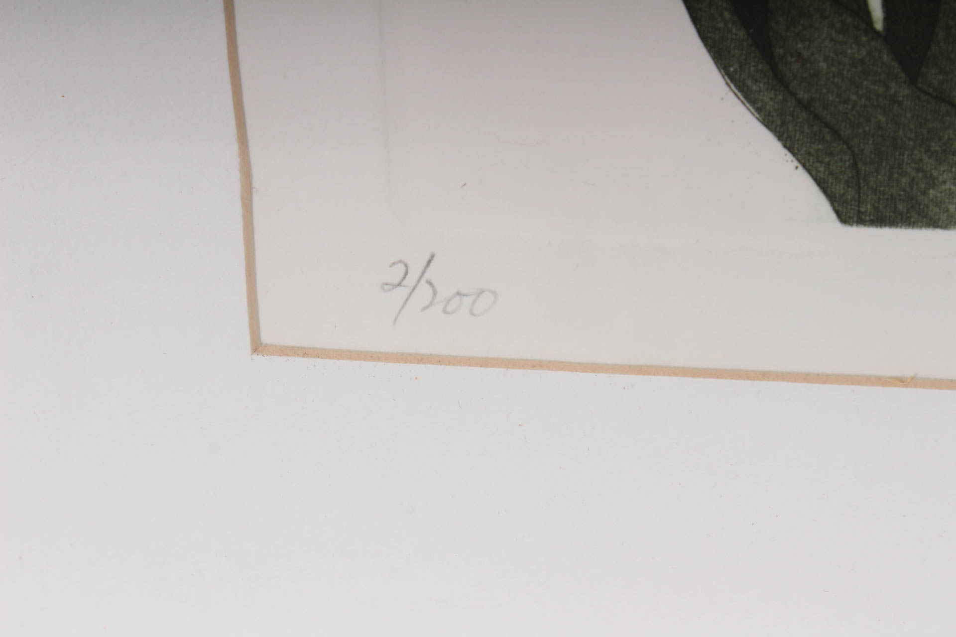 Elaine Sewel Limited Edition Etching"Irises II"