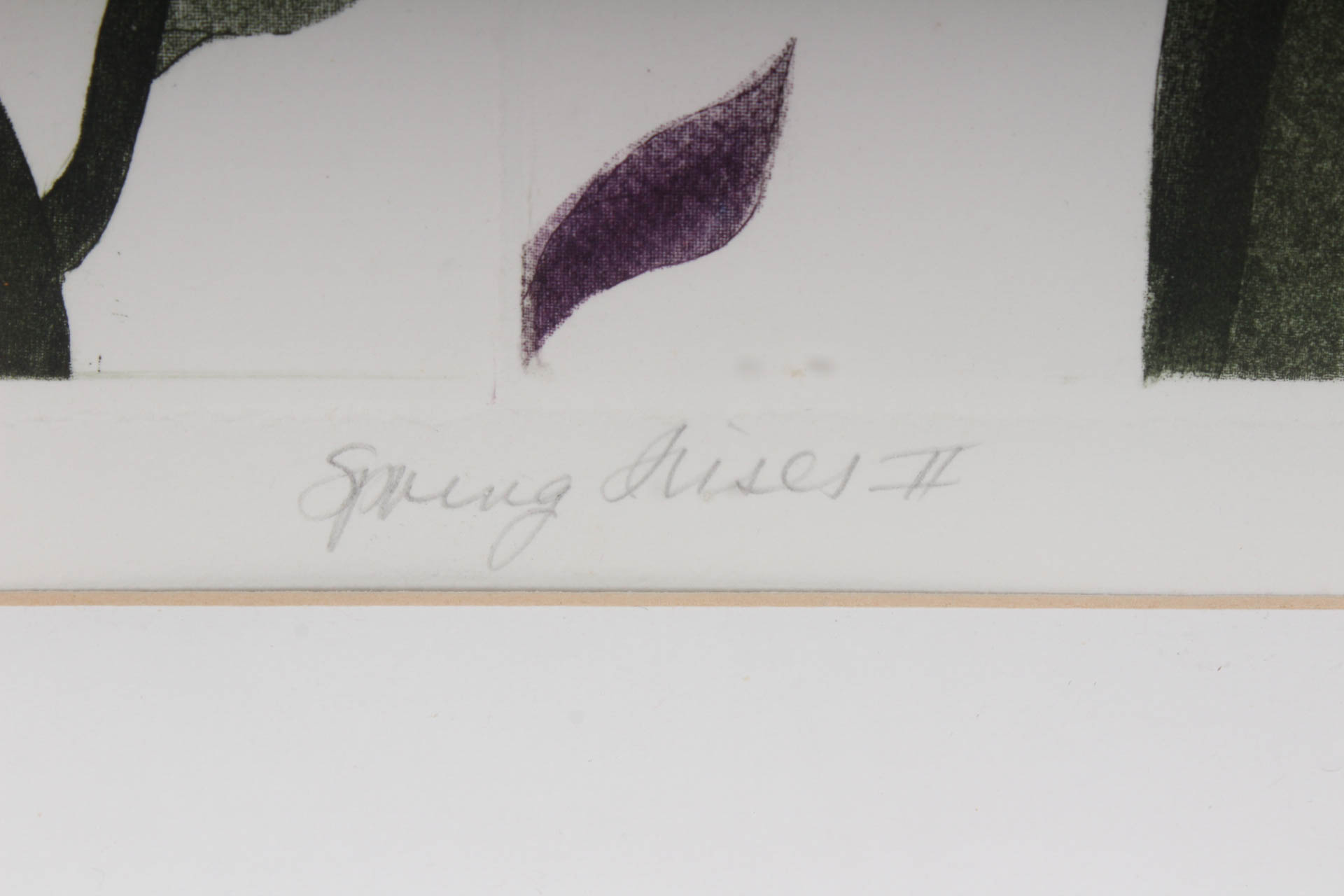 Elaine Sewel Limited Edition Etching"Irises II"