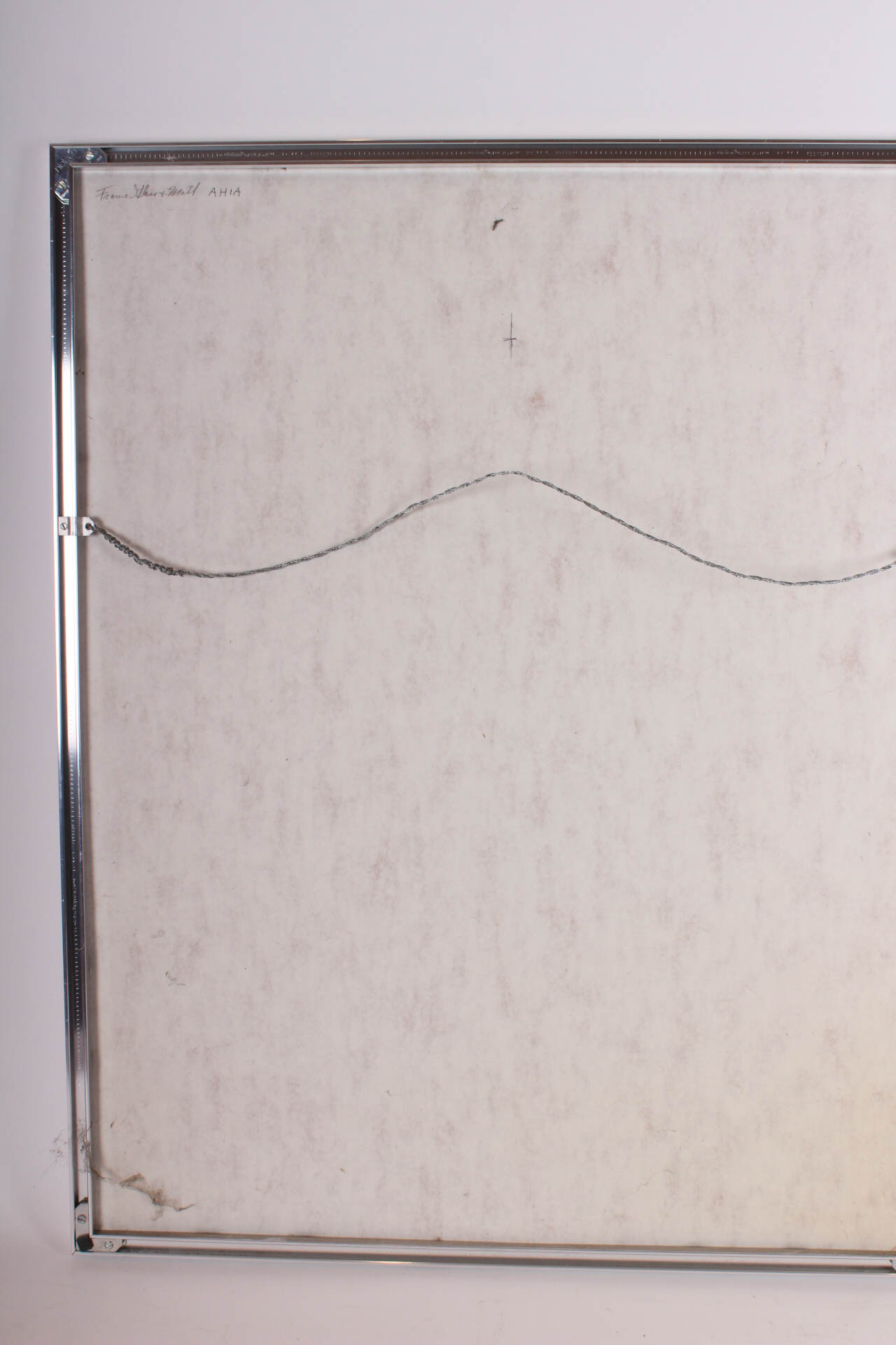 Elaine Sewel Limited Edition Etching"Irises II"