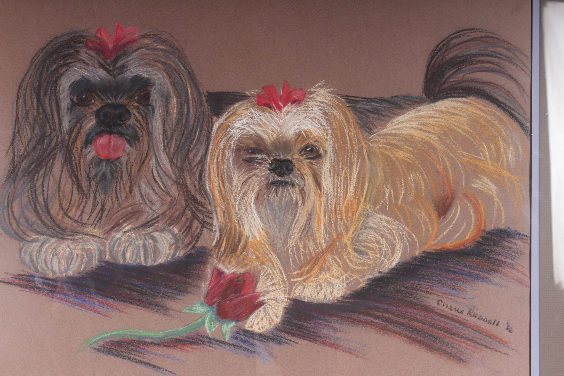 Cherie Russell Pet Portrait of Lhasa Apso