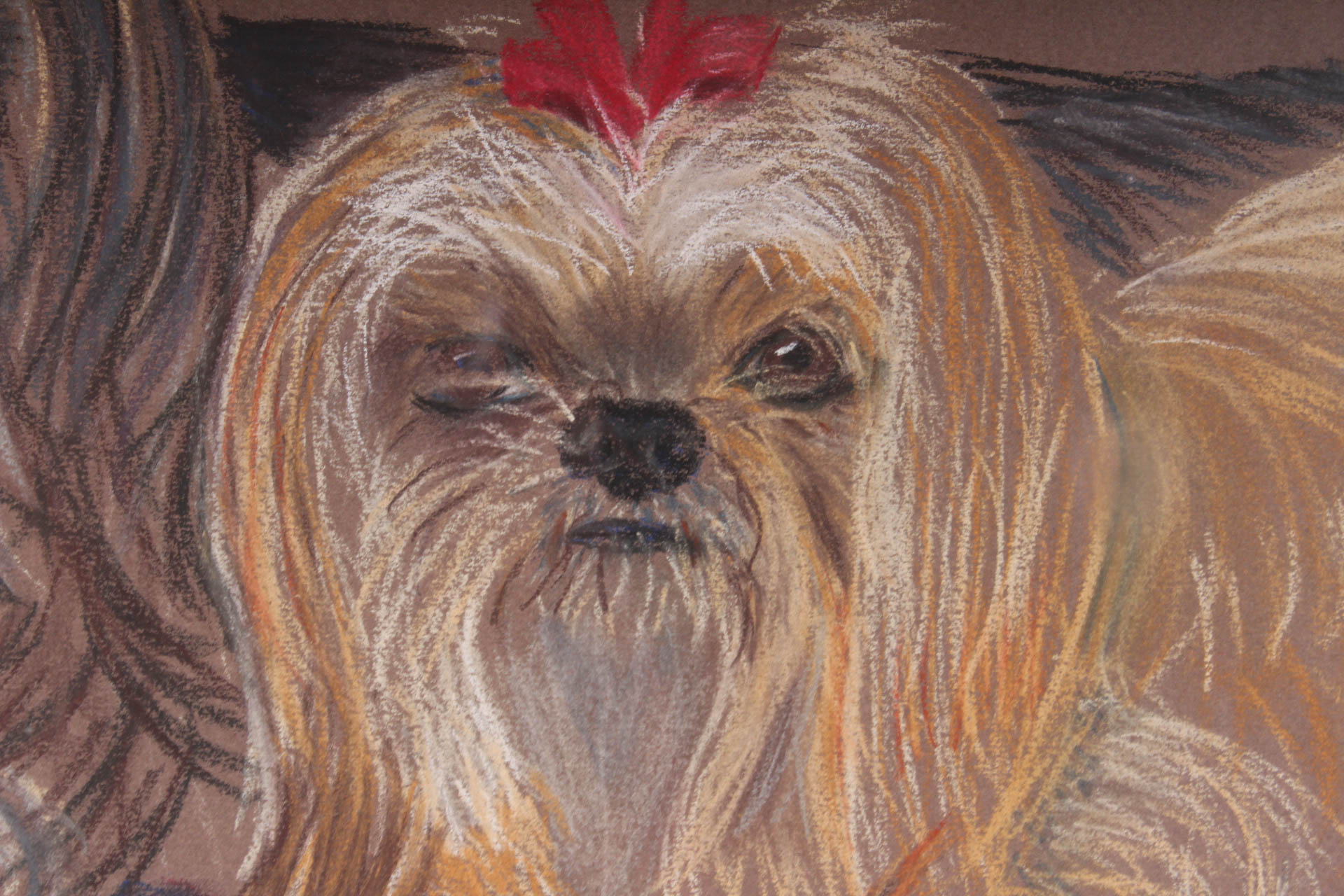 Cherie Russell Pet Portrait of Lhasa Apso