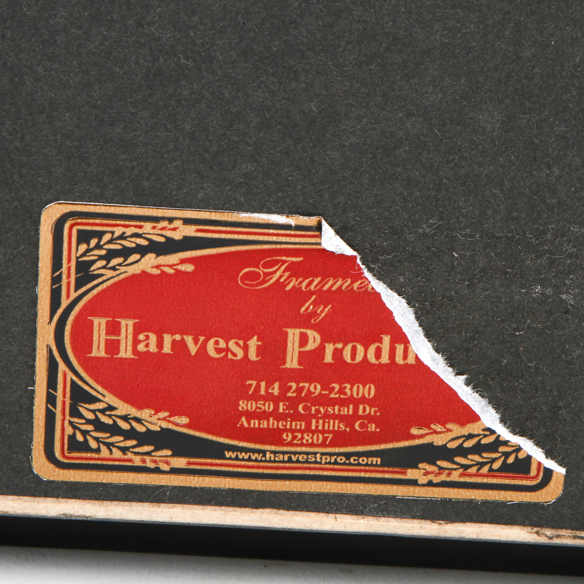 Offset Lithograph of a Roller Girl in Bikini