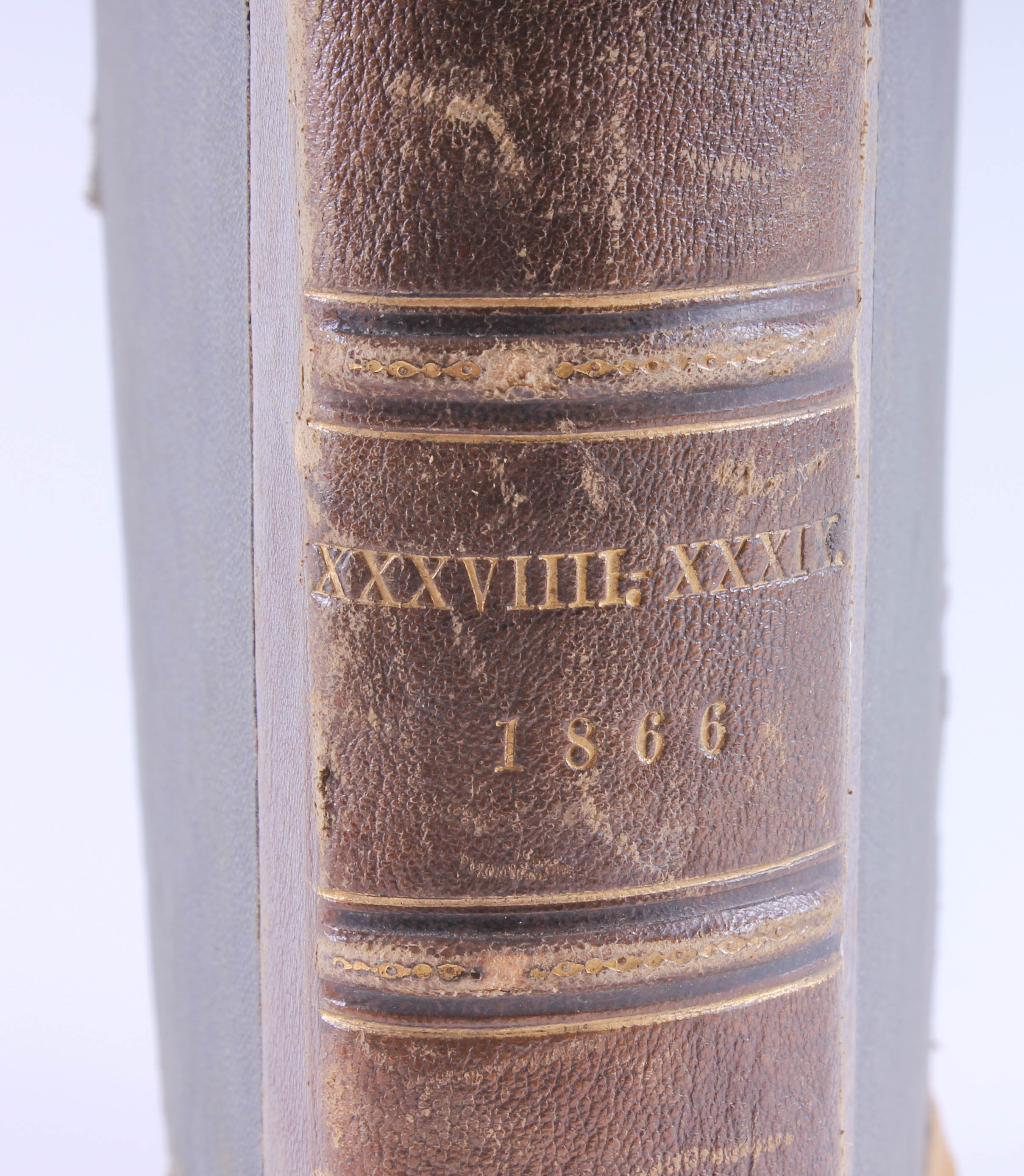 Antique "Frank Leslie's Lady's Magazine" Volume 38
