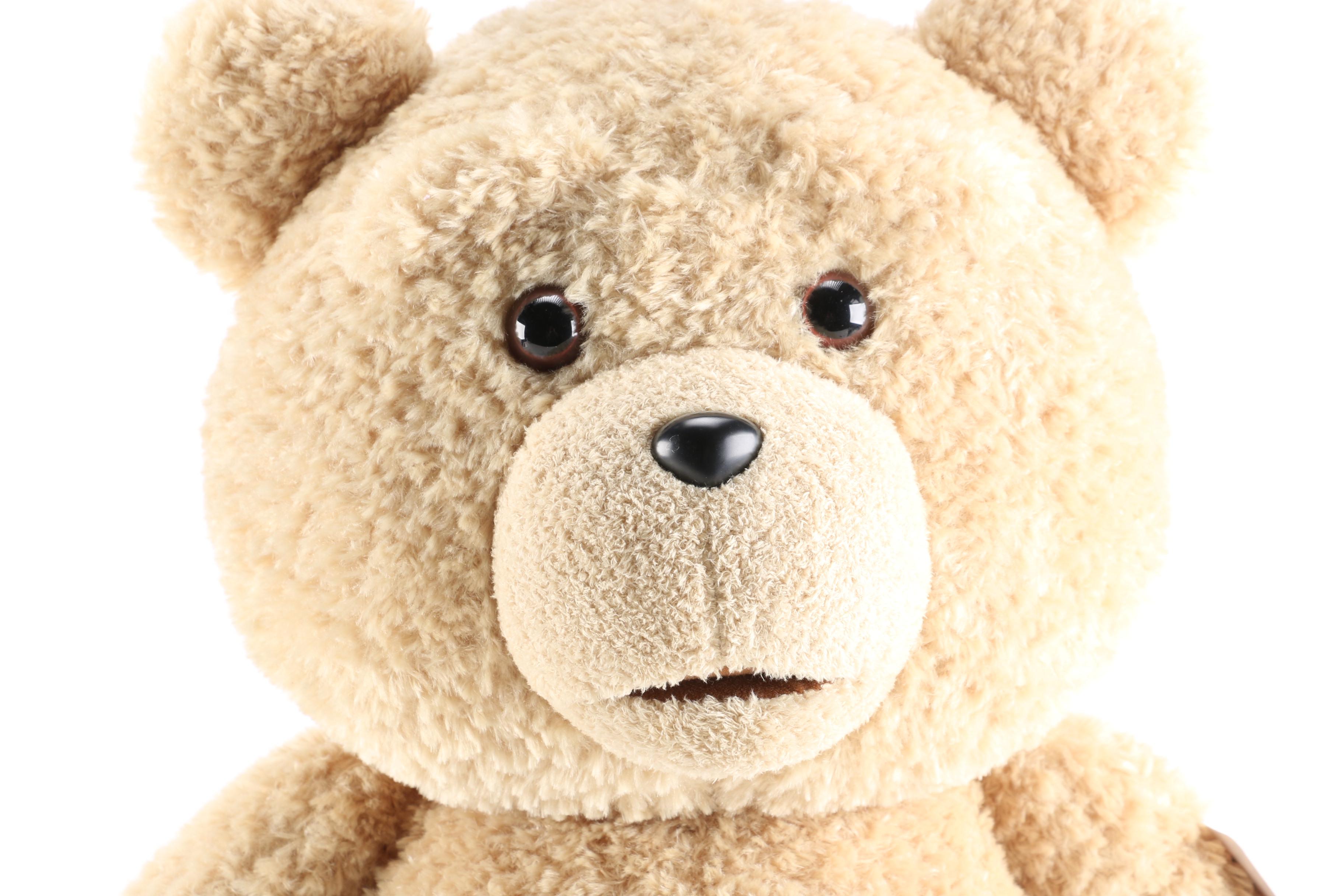 Talking "Ted" Plush Bear