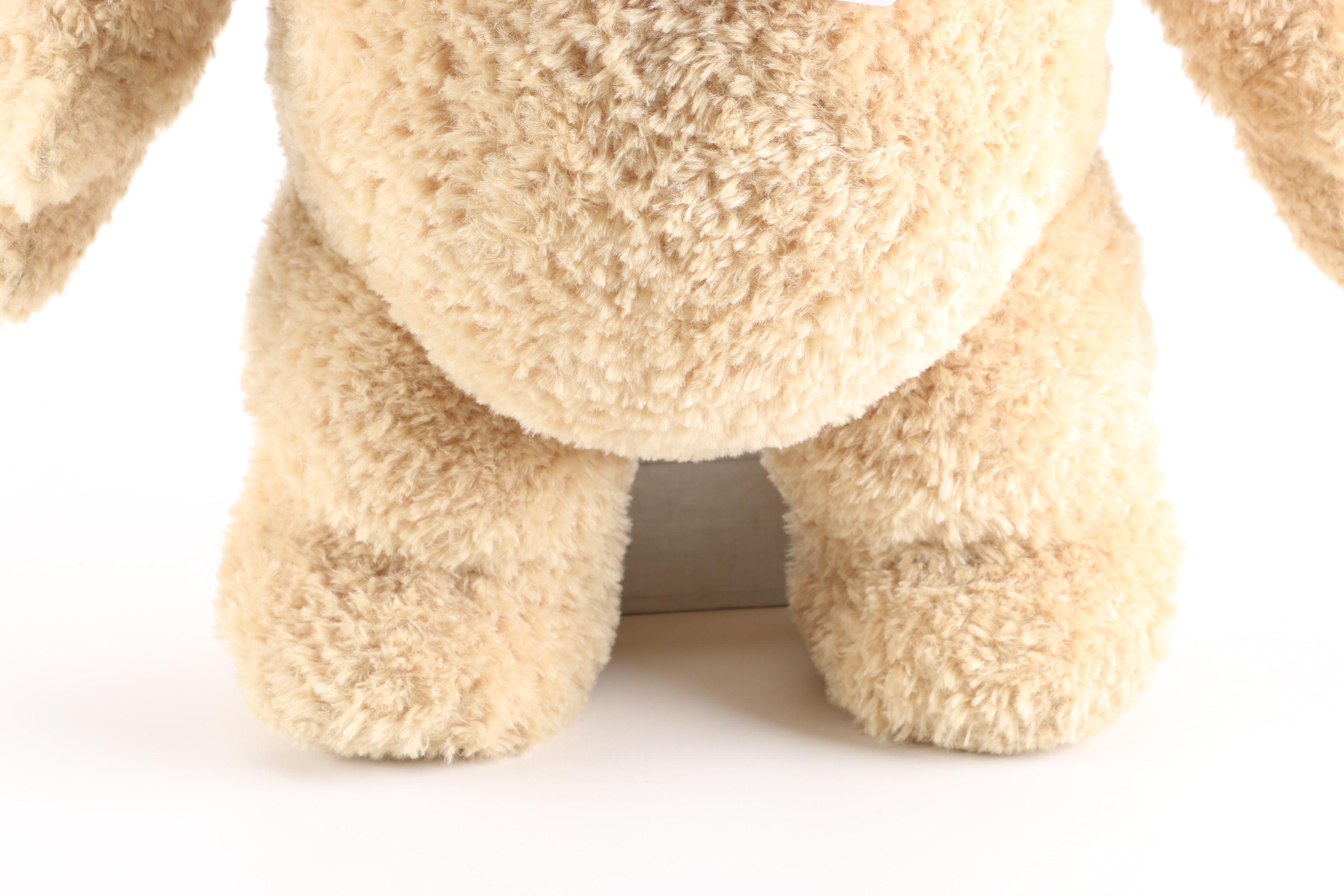 Talking "Ted" Plush Bear