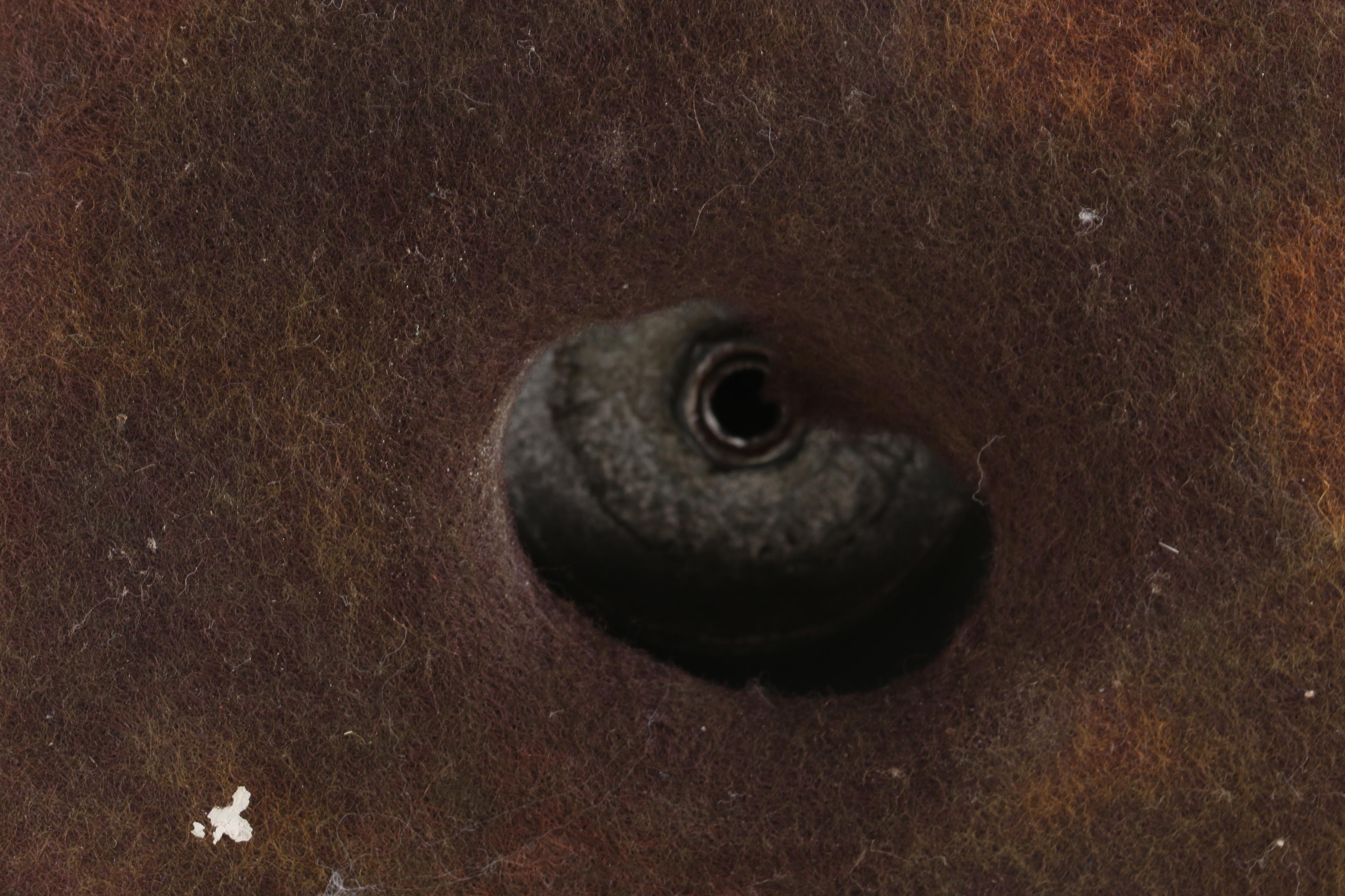 Decorative Brass Urn