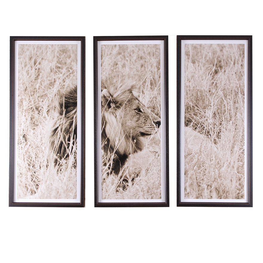 Trowbridge Gallery Limited Edition Triptych